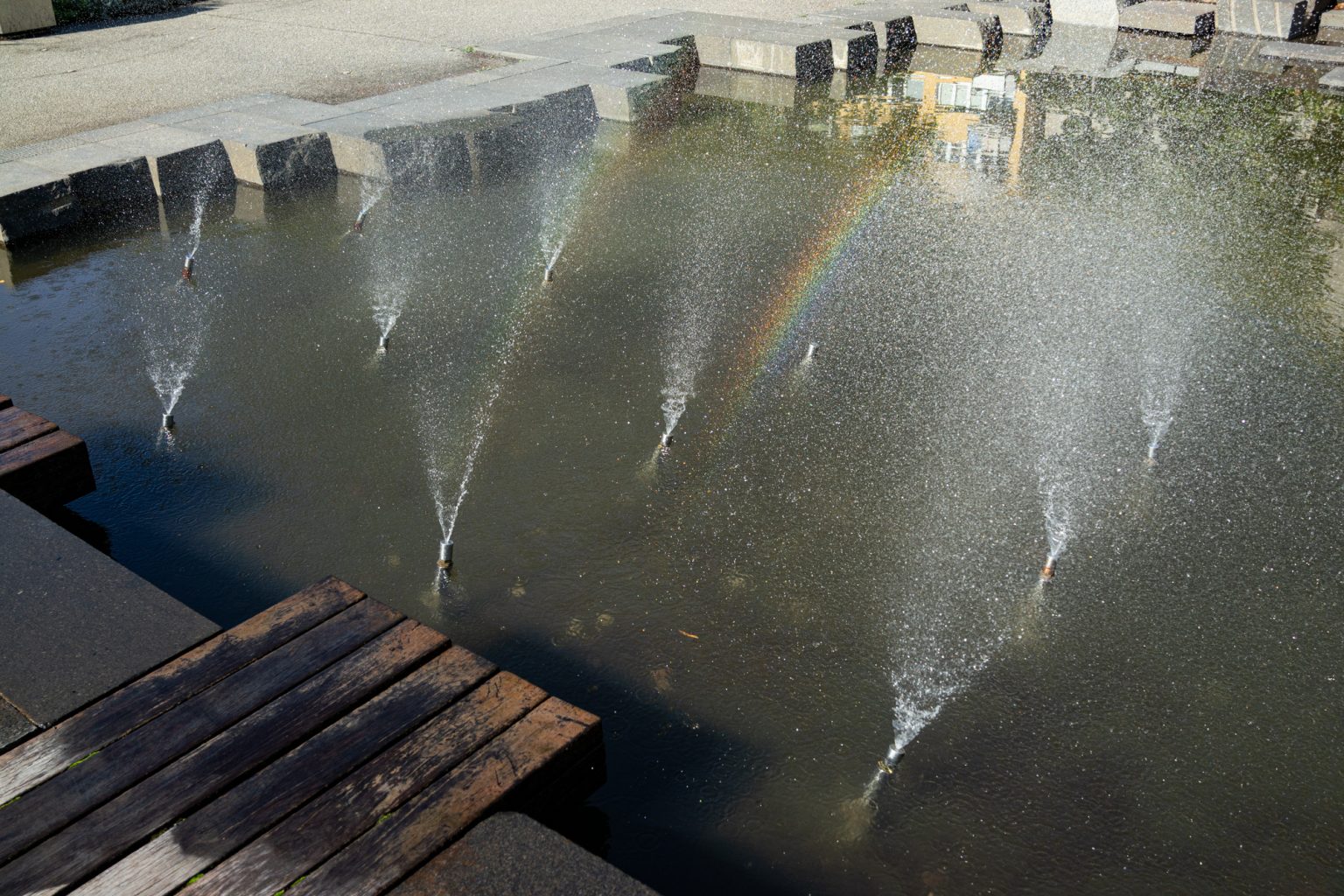 Sony RX1