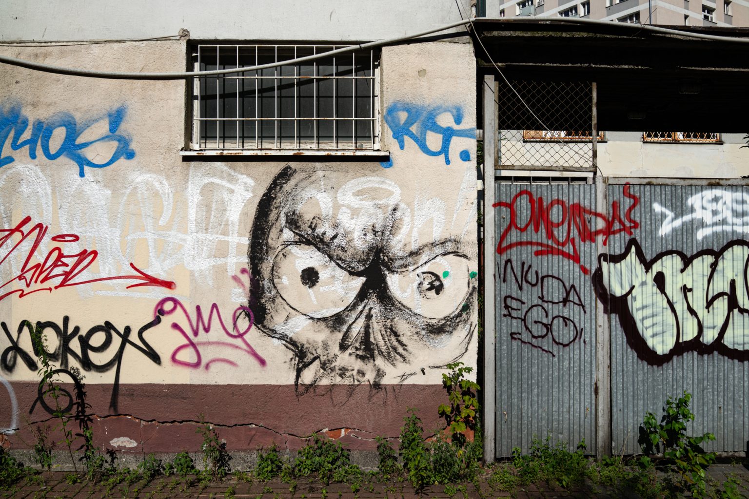Sony RX1