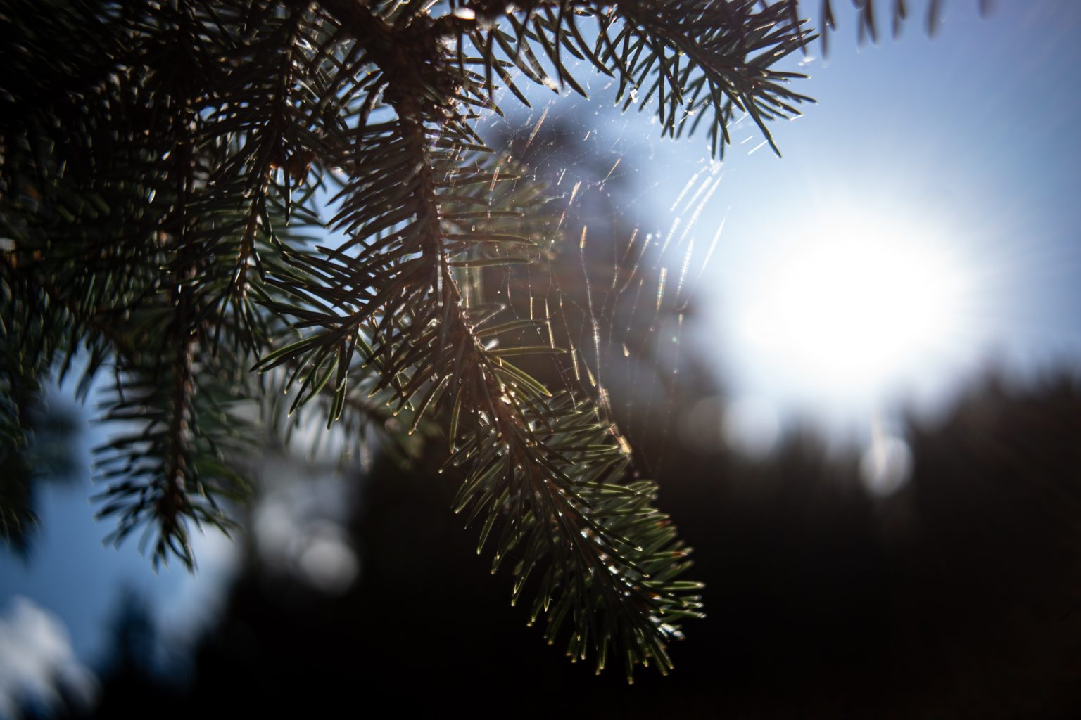 Galeria zdjęć przykładowych 2000px wykonana za pomocą obiektywu TTArtisan AF 23mm F1.8 ED Sony E