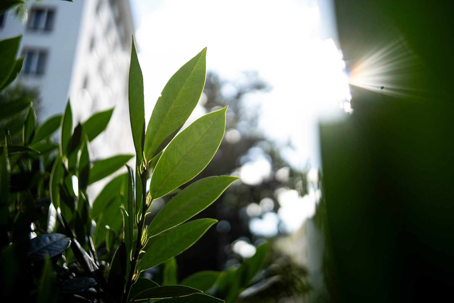 Galeria zdjęć przykładowych 2000px wykonana za pomocą obiektywu TTArtisan AF 23mm F1.8 ED Sony E