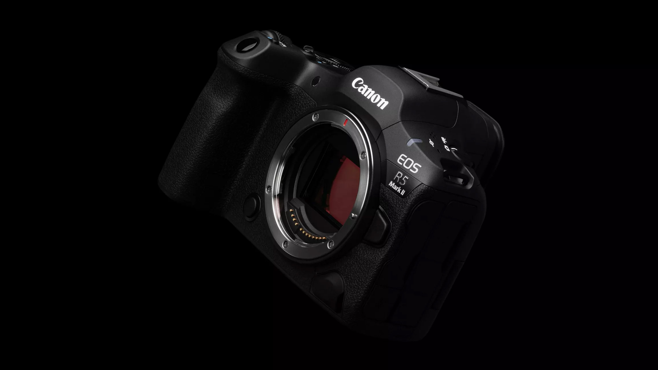 canon-ponownie-udostepnia-najnowszy-firmware-do-eos-r1-i-r5-mark-ii 3
