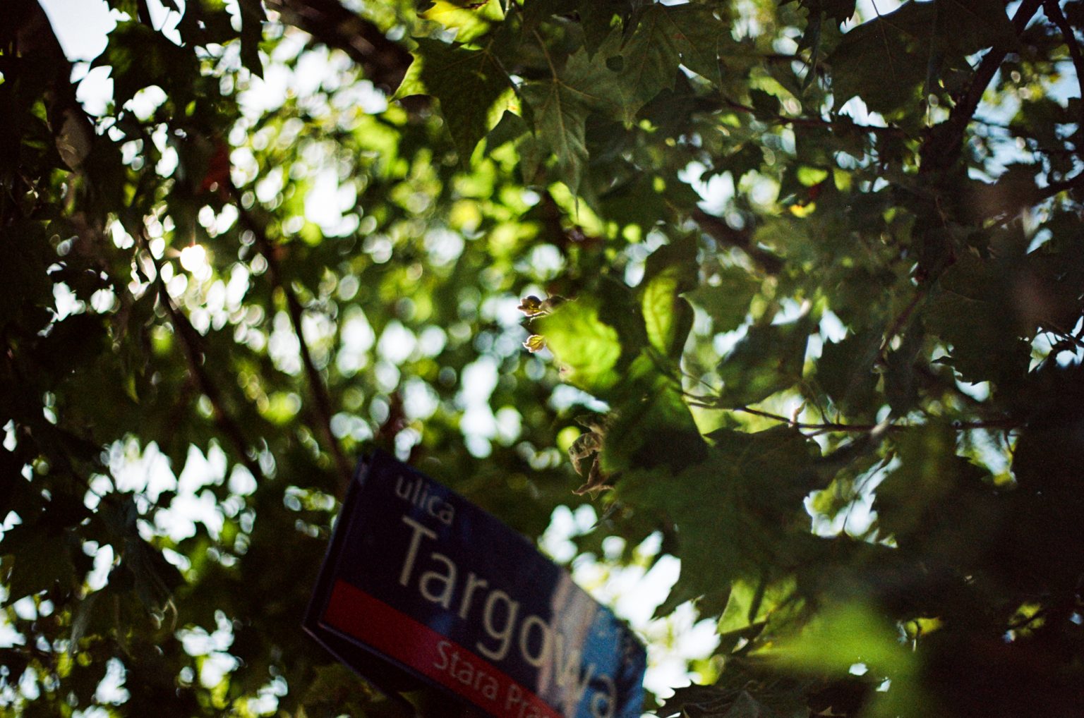 Galeria zdjęć 2000px z aparatu Leica R8 i obiektywu Leica Summilux-R 50mm F1.4