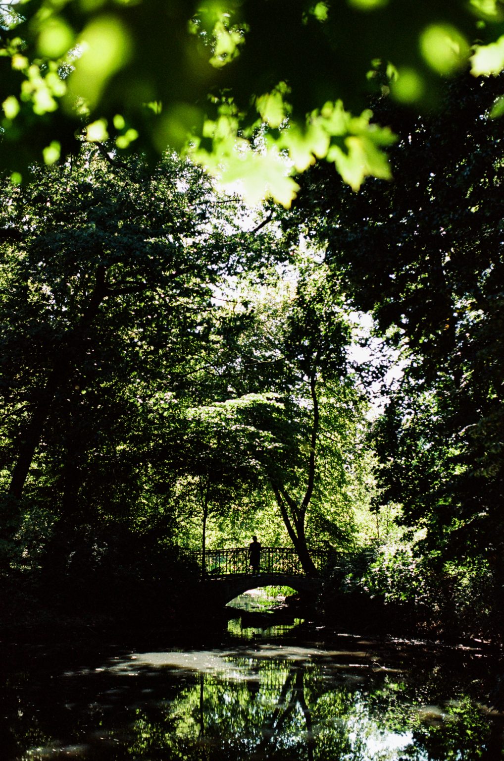 Galeria zdjęć 2000px z aparatu Leica R8 i obiektywu Leica Summilux-R 50mm F1.4