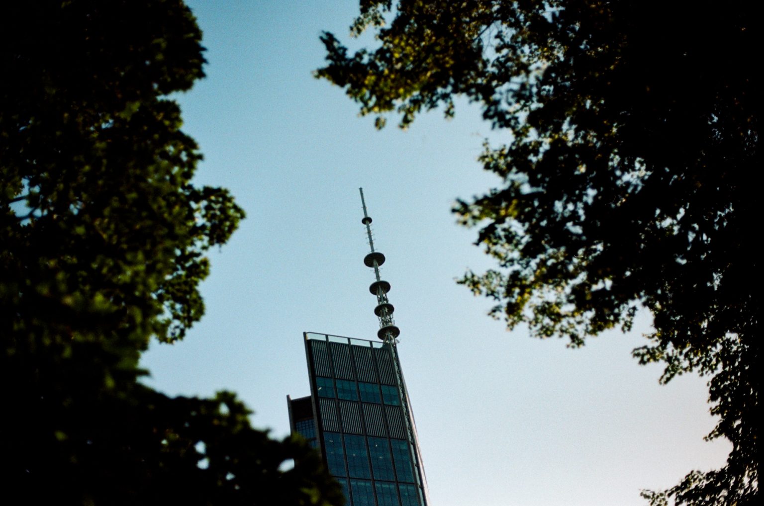 Galeria zdjęć 2000px z aparatu Leica R8 i obiektywu Leica Summilux-R 50mm F1.4