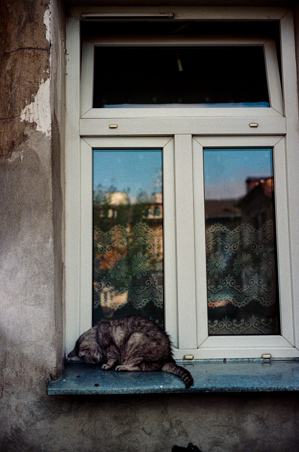 Galeria zdjęć przykładowych 2000px z aparatu Leica CL i obiektywu Voigtlander 40mm F1.4 Nokton Classic