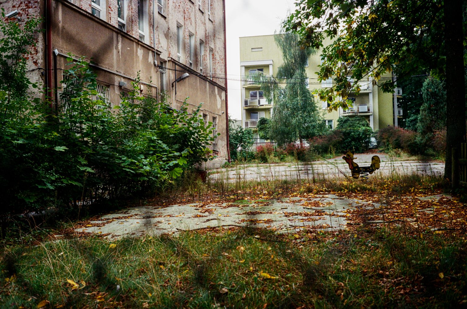 Galeria zdjęć przykładowych 2000px z aparatu Leica CL i obiektywu Voigtlander 40mm F1.4 Nokton Classic