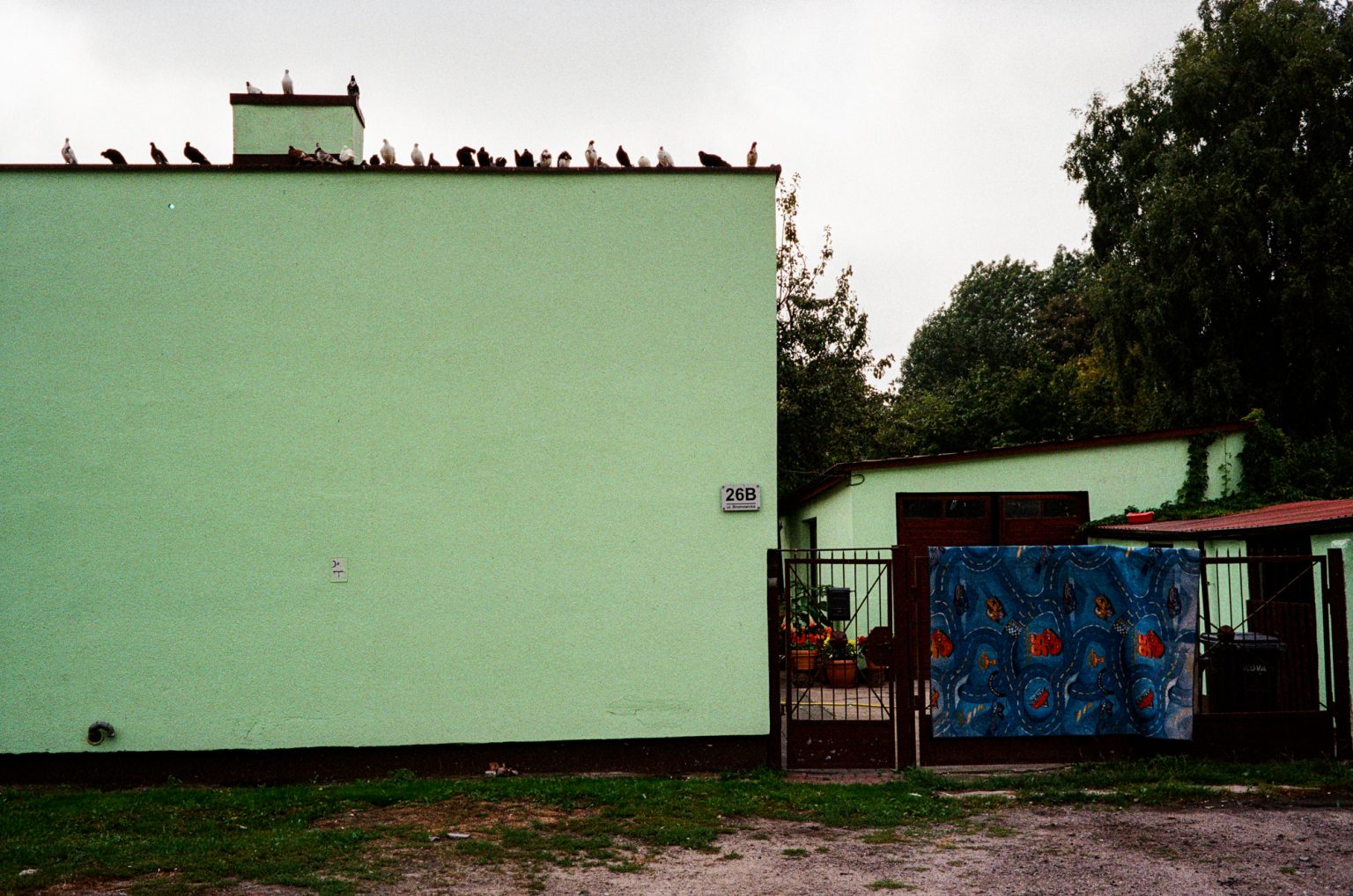 Galeria zdjęć przykładowych 2000px z aparatu Leica CL i obiektywu Voigtlander 40mm F1.4 Nokton Classic