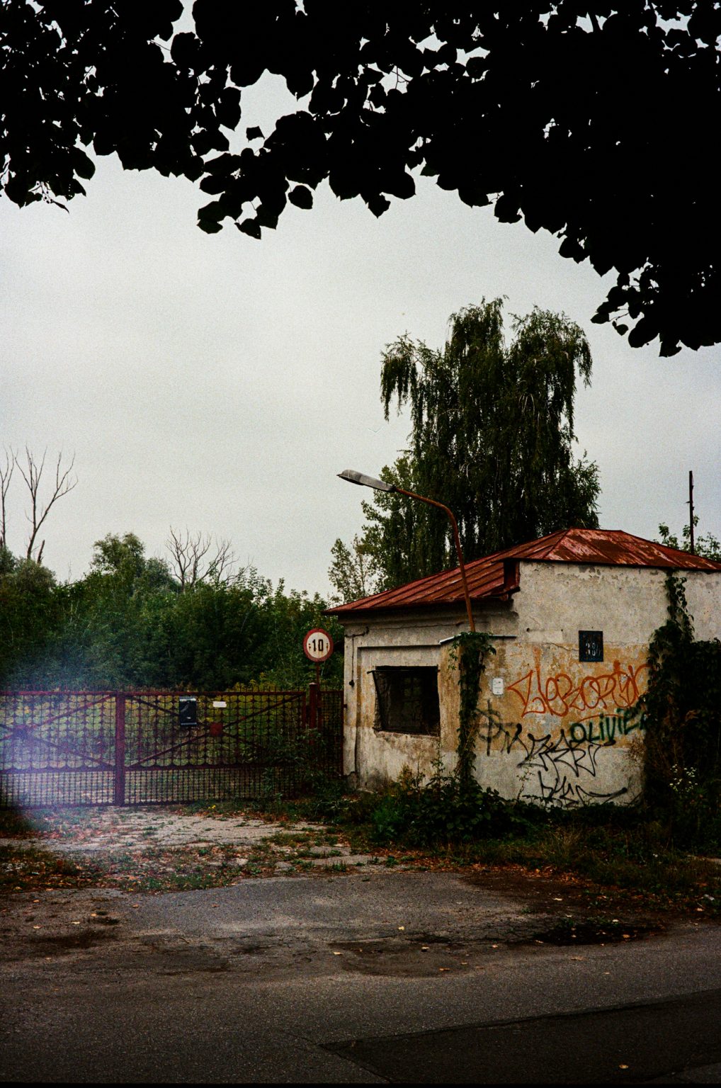 Galeria zdjęć przykładowych 2000px z aparatu Leica CL i obiektywu Voigtlander 40mm F1.4 Nokton Classic