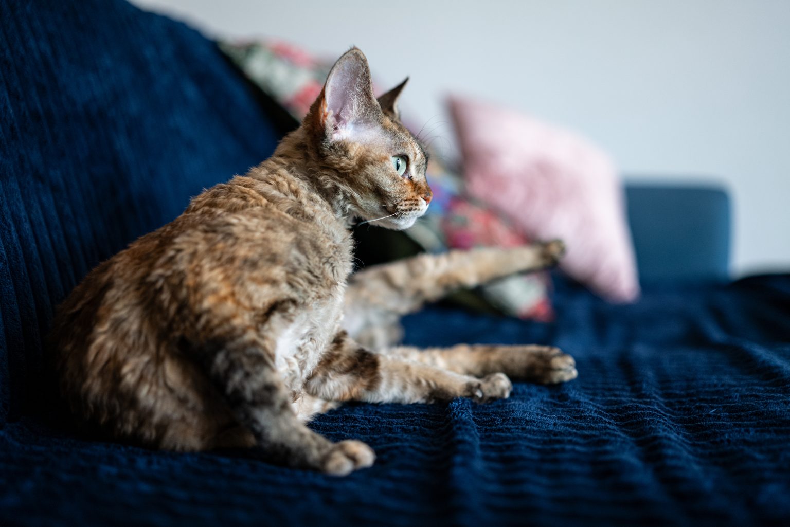 Galeria zdjęć przykładowych 2000px z obiektywu Sigma A 35mm F1.4 DG DN Art i aparatu Leica SL2 Galeria zdjęć przykładowych 2000px z obiektywu Sigma A 35mm F1.4 DG DN Art i aparatu Leica SL2