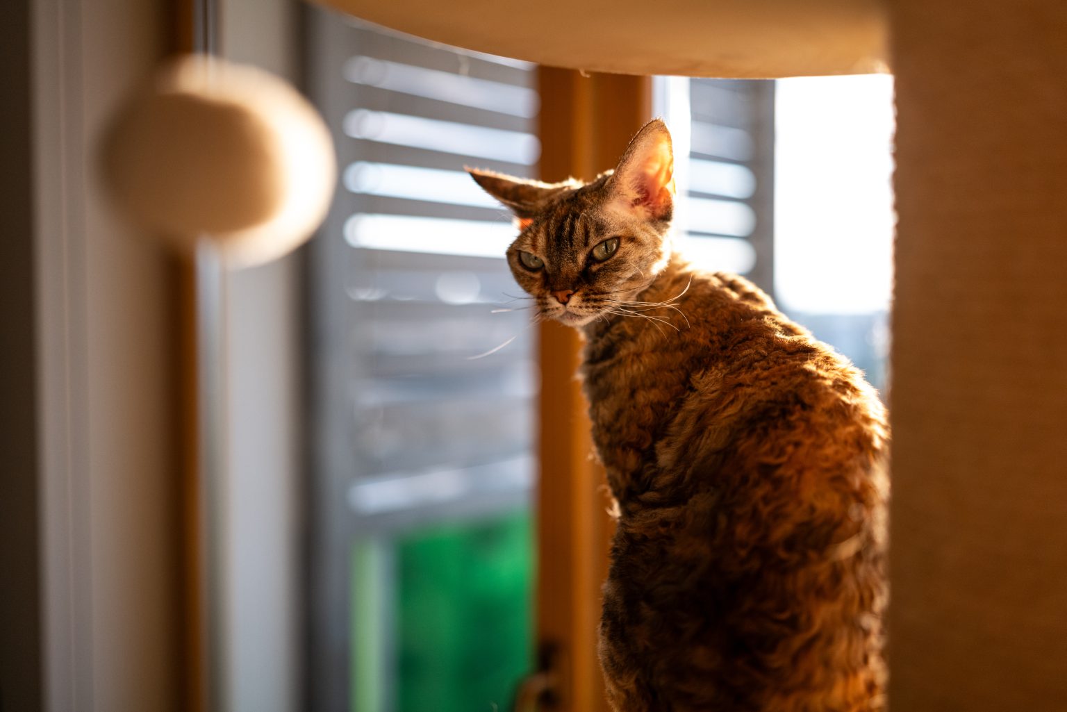 Galeria zdjęć przykładowych 2000px z obiektywu Sigma A 35mm F1.4 DG DN Art i aparatu Leica SL2 Galeria zdjęć przykładowych 2000px z obiektywu Sigma A 35mm F1.4 DG DN Art i aparatu Leica SL2