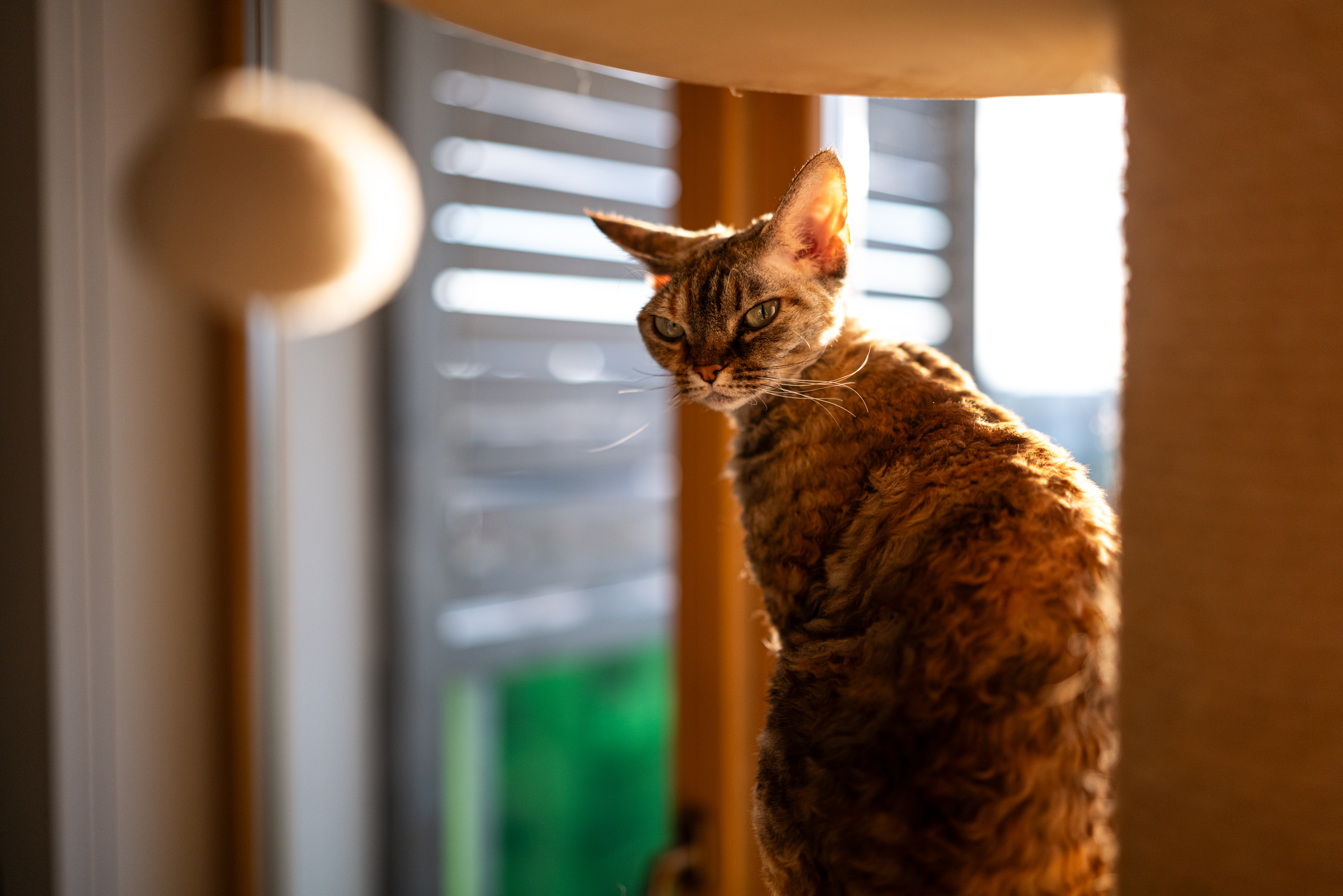 Sigma a 35mm f1.4 dg dn art l mount leica sl2 2000px 1220083