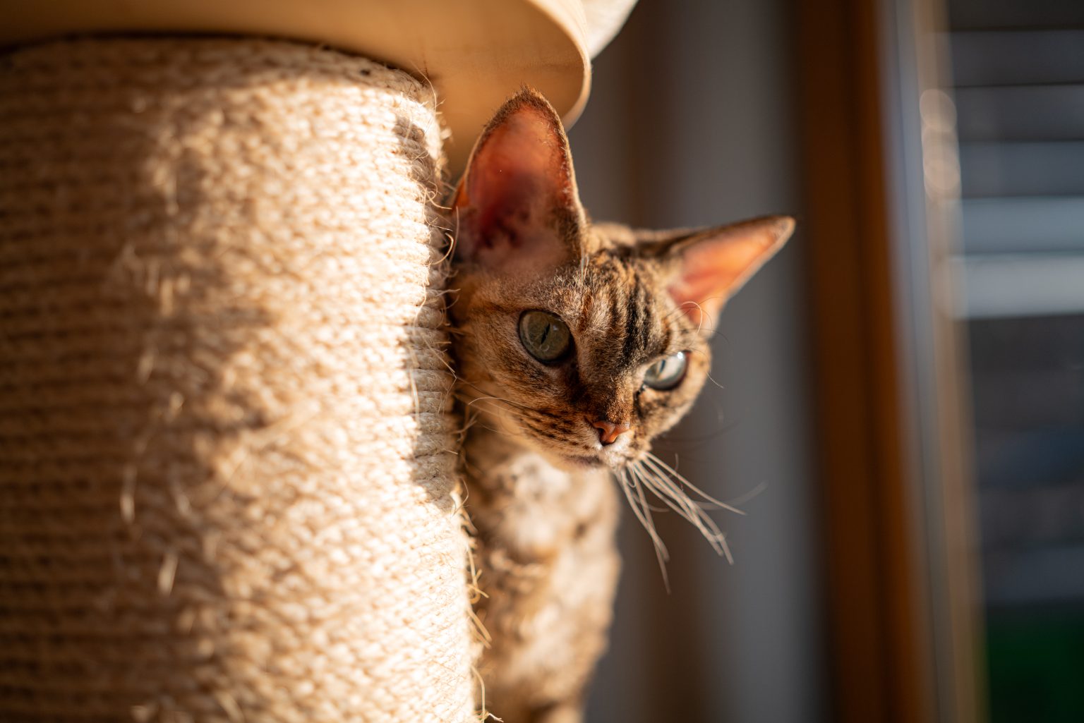 Galeria zdjęć przykładowych 2000px z obiektywu Sigma A 35mm F1.4 DG DN Art i aparatu Leica SL2 Galeria zdjęć przykładowych 2000px z obiektywu Sigma A 35mm F1.4 DG DN Art i aparatu Leica SL2