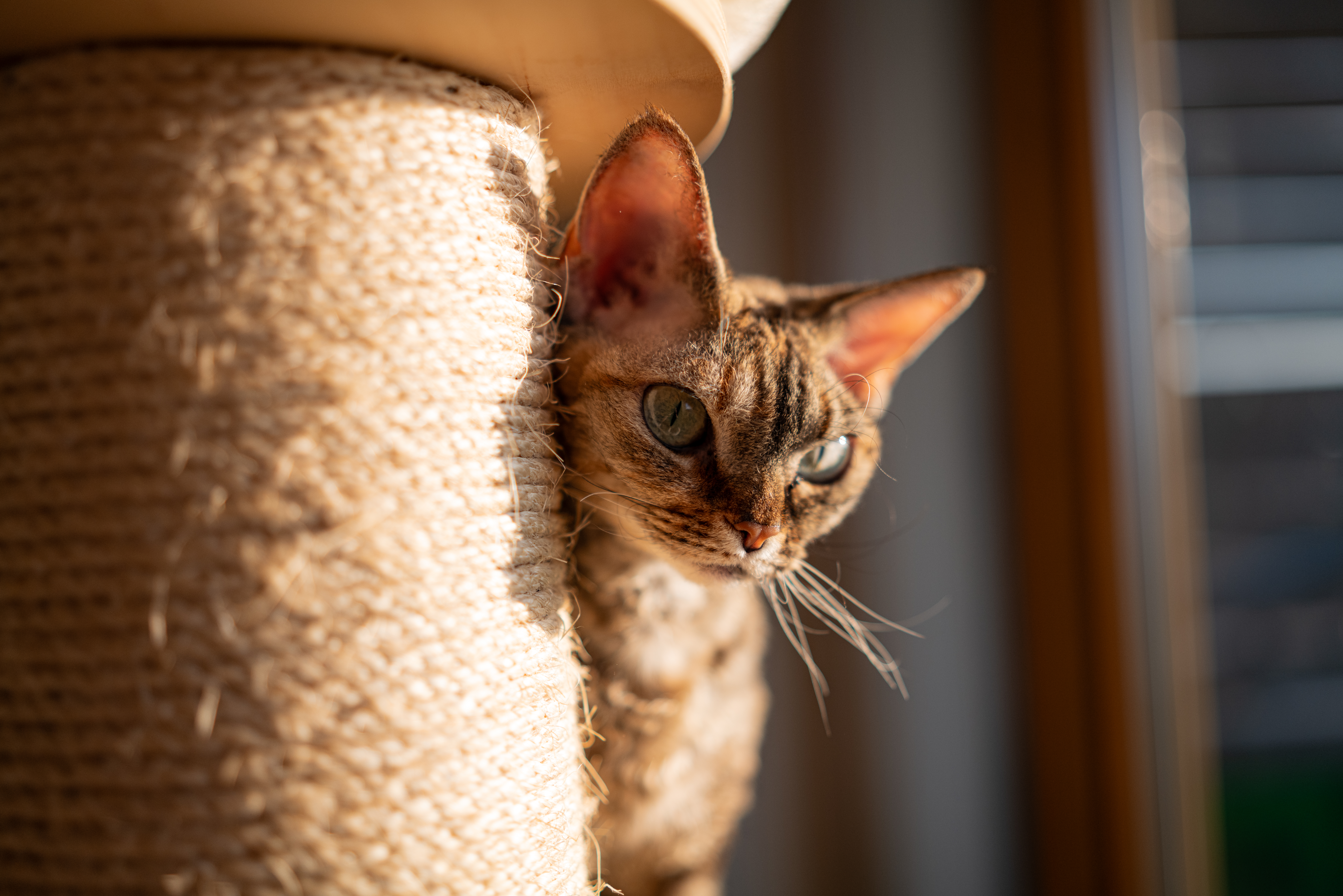 Sigma a 35mm f1.4 dg dn art l mount leica sl2 2000px 1220087