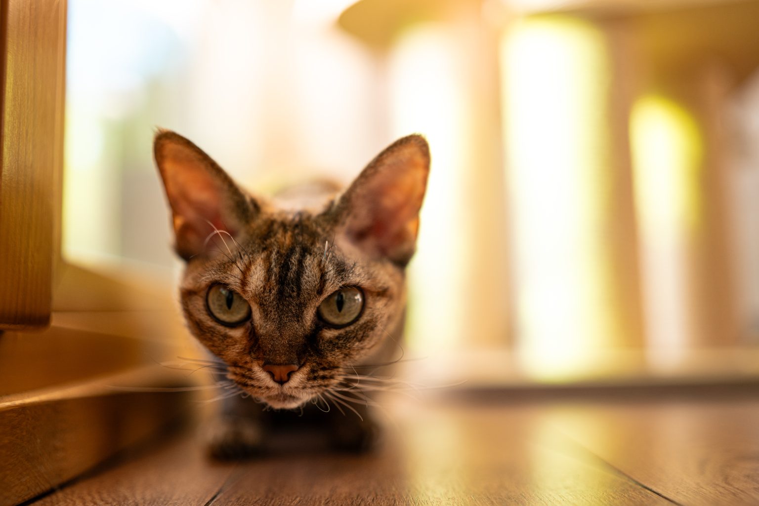 Galeria zdjęć przykładowych 2000px z obiektywu Sigma A 35mm F1.4 DG DN Art i aparatu Leica SL2 Galeria zdjęć przykładowych 2000px z obiektywu Sigma A 35mm F1.4 DG DN Art i aparatu Leica SL2