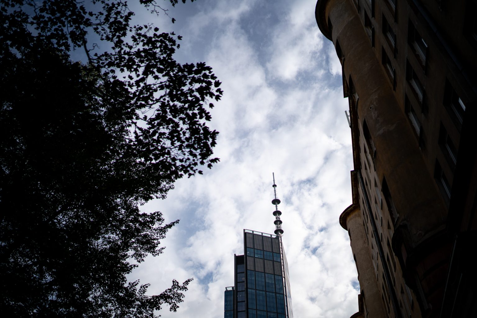 Galeria zdjęć przykładowych 2000px z obiektywu Sony FE 35mm F1.4 ZA Zeiss Distagon T*  i aparatu Sony A7R III