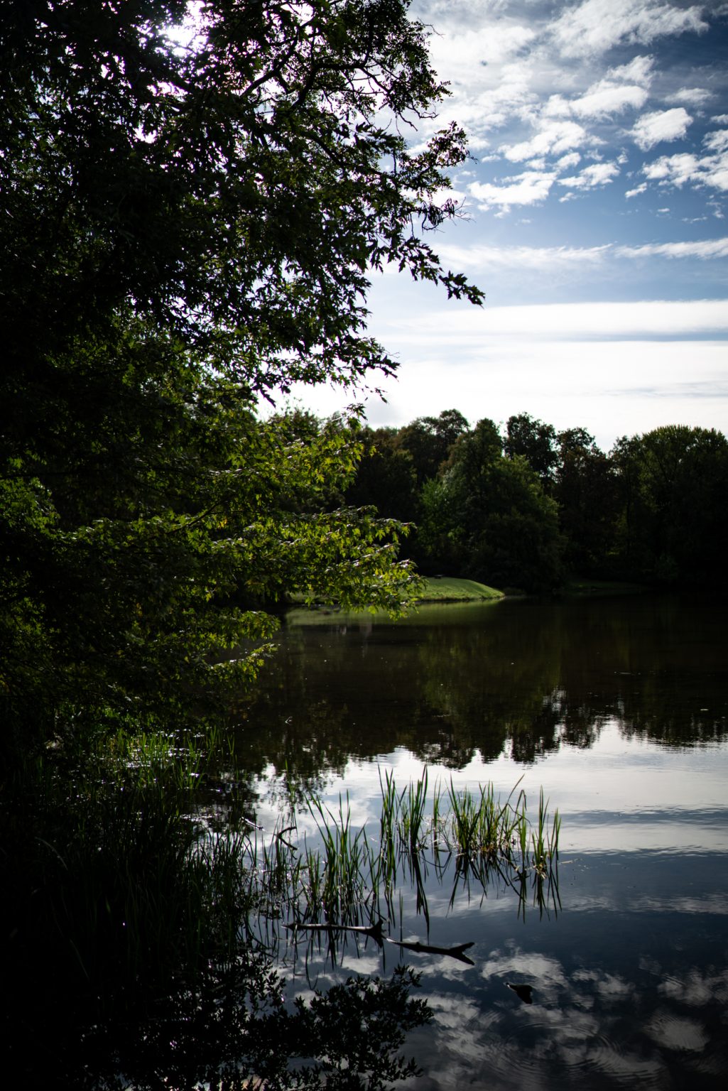 Galeria zdjęć przykładowych 2000px z obiektywu Sony FE 35mm F1.4 ZA Zeiss Distagon T*  i aparatu Sony A7R III
