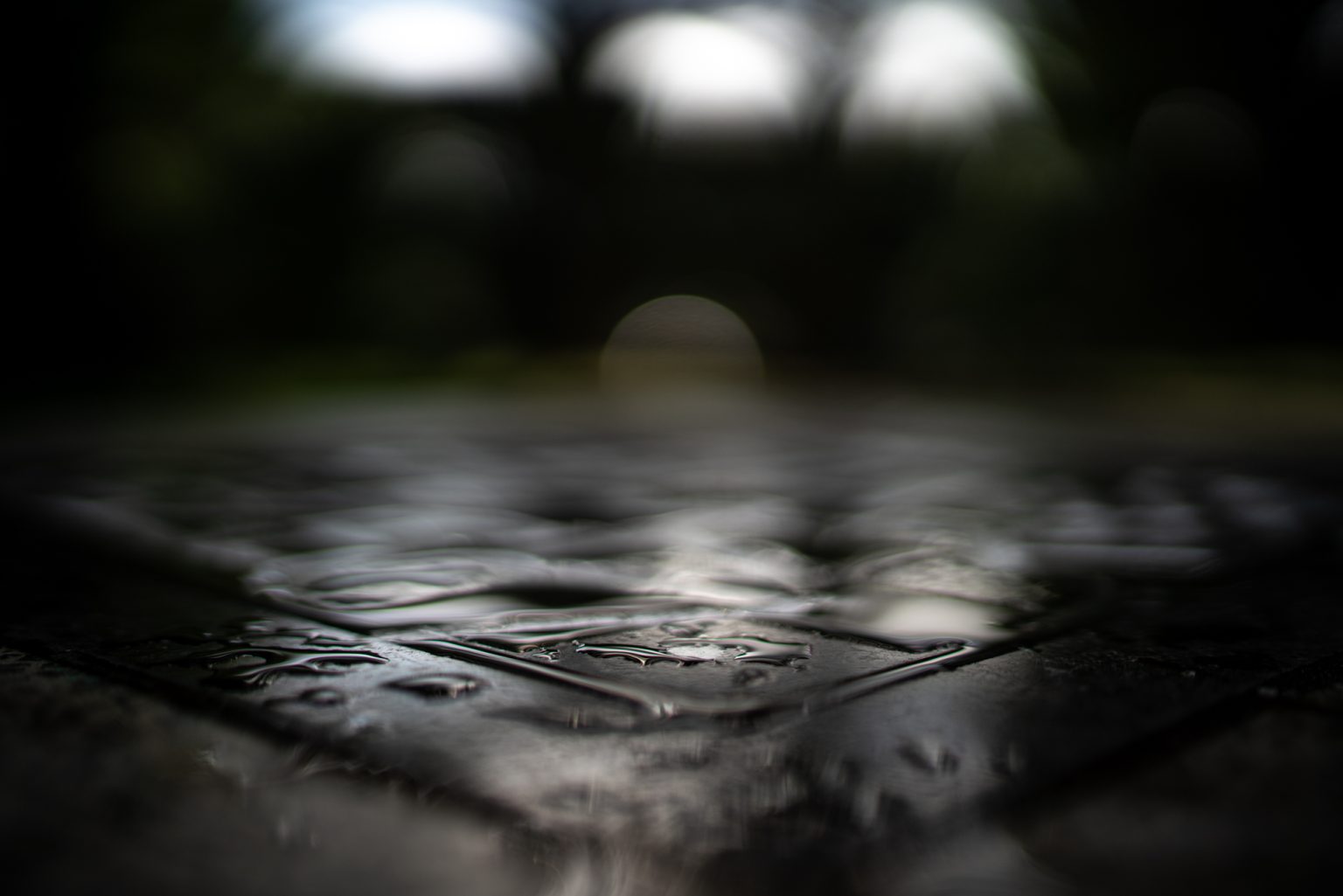 Galeria zdjęć przykładowych 2000px z obiektywu Sony FE 35mm F1.4 ZA Zeiss Distagon T*  i aparatu Sony A7R III