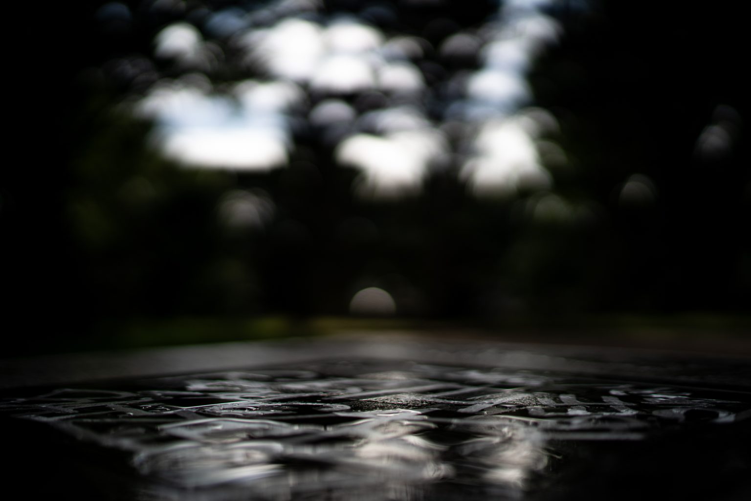 Galeria zdjęć przykładowych 2000px z obiektywu Sony FE 35mm F1.4 ZA Zeiss Distagon T*  i aparatu Sony A7R III