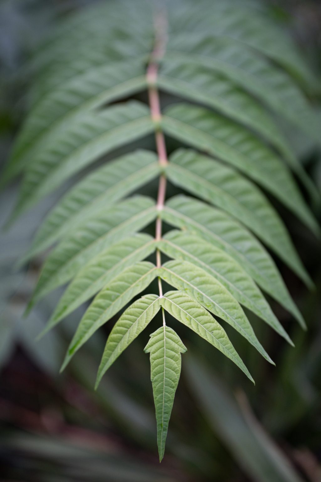 Galeria zdjęć przykładowych 2000px wykonanych obiektywem Tamron 70-180mm F2.8 Di III VXD i aparatem Sony A7III Galeria zdjęć przykładowych 2000px wykonanych obiektywem Tamron 70-180mm F2.8 Di III VXD i aparatem Sony A7III