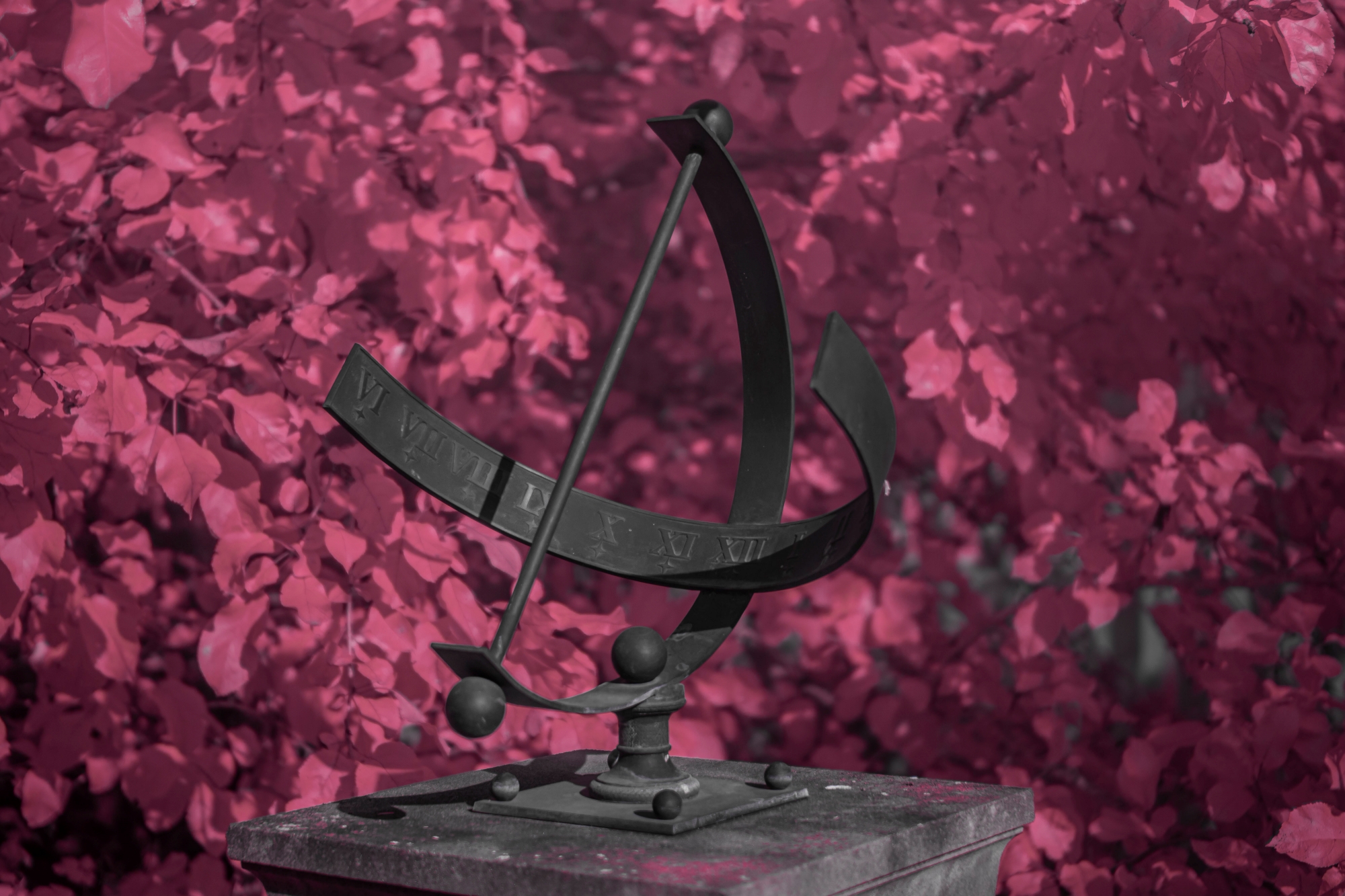 Batch ttartisan 40mm f2 ed asph sony a6000 ir dsc9427