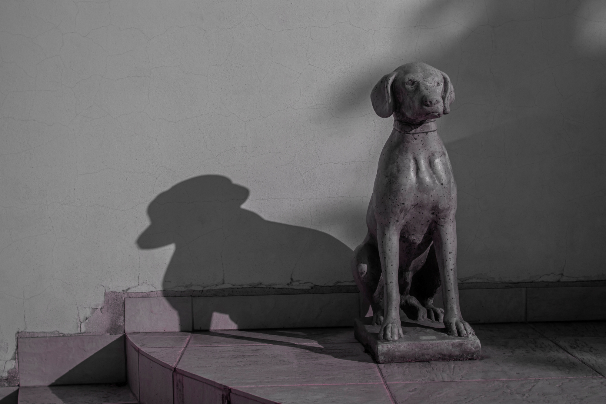 Batch ttartisan 40mm f2 ed asph sony a6000 ir dsc9521