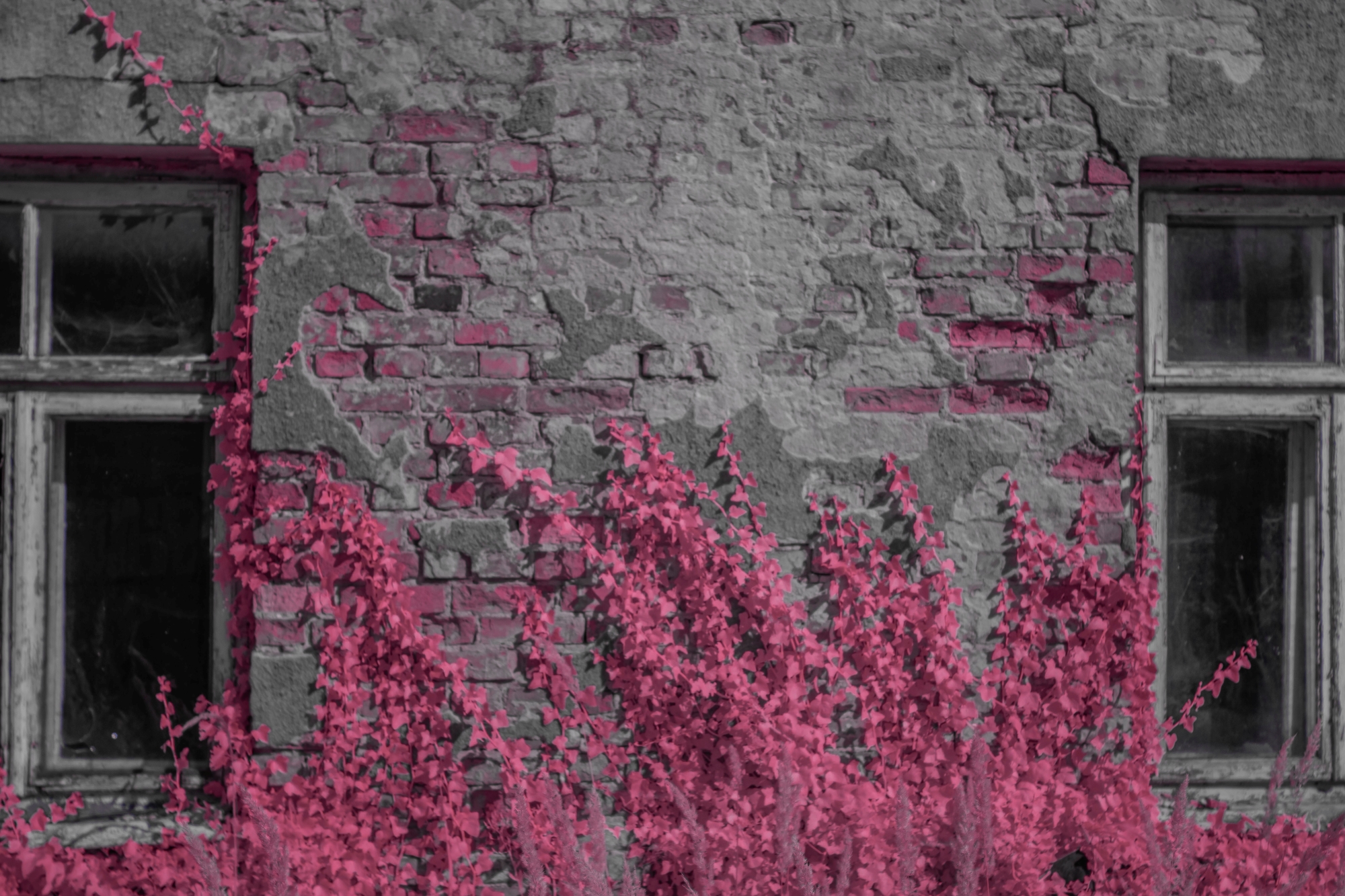 Batch ttartisan 40mm f2 ed asph sony a6000 ir dsc9749