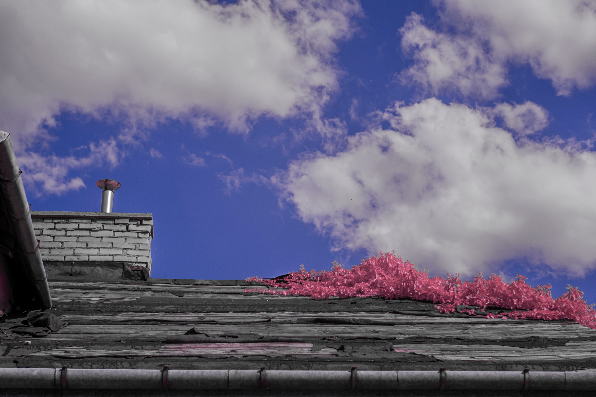 Batch ttartisan 40mm f2 ed asph sony a6000 ir dsc9761