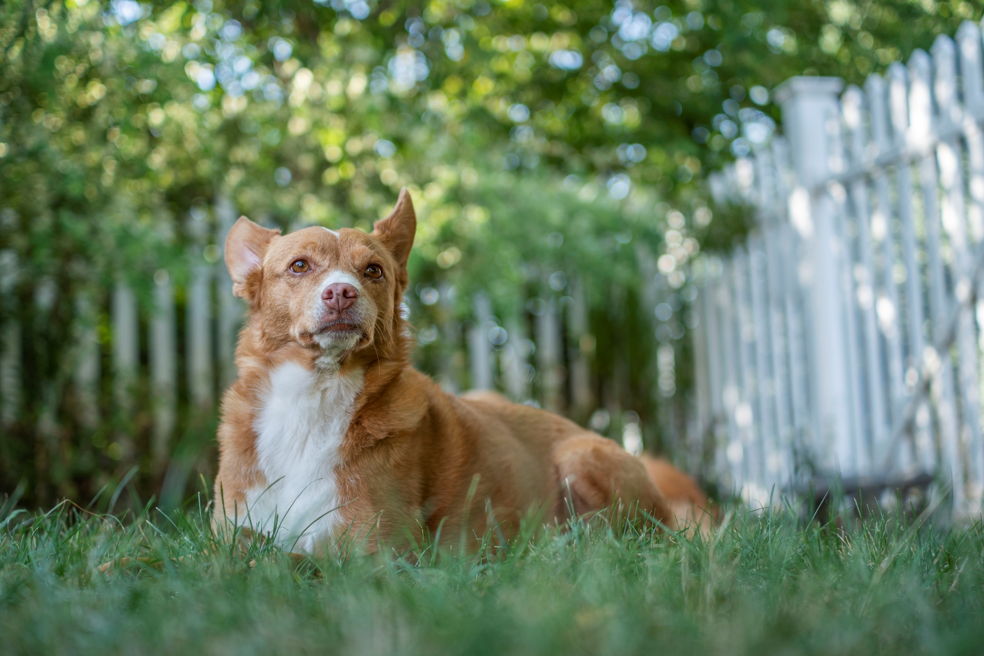 Batch ttartisan 40mm f2 ed asph sony a6300 dsc0204