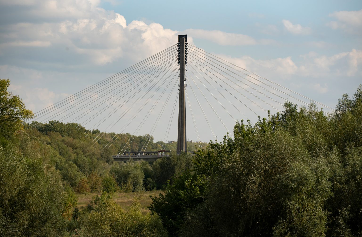 Tamron70 200 28 d750 17