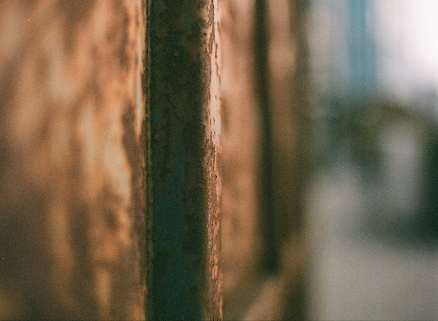 Galeria zdjęć przykładowych 2000px z aparatu Contax 645 i obiektywu Carl Zeiss Planar T* 80mm F2 Robert Karaś