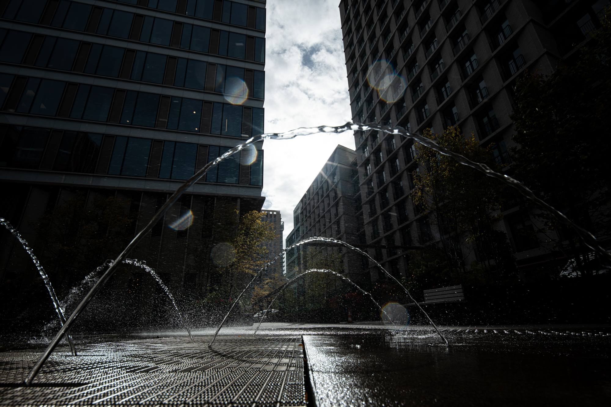 Ttartisan tilt shift 17mm f4 asph 2000px 12