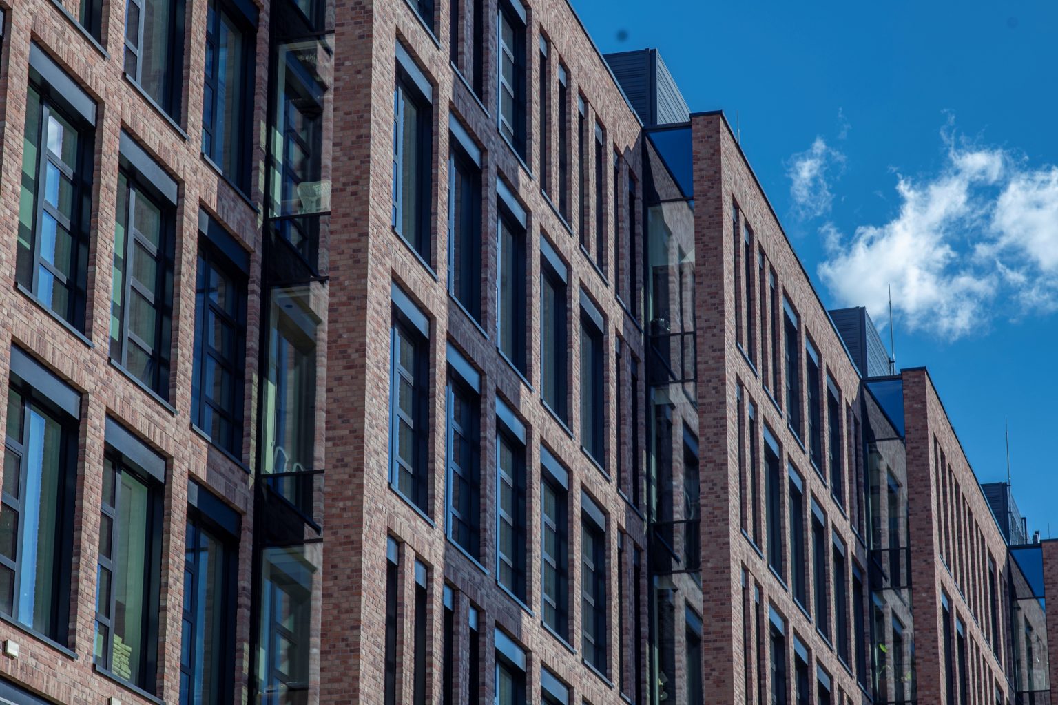 Batch Minolta AF 100mm F2 Nikon Zf Dsc9933 Batch minolta af 100mm f2 nikon zf dsc9933