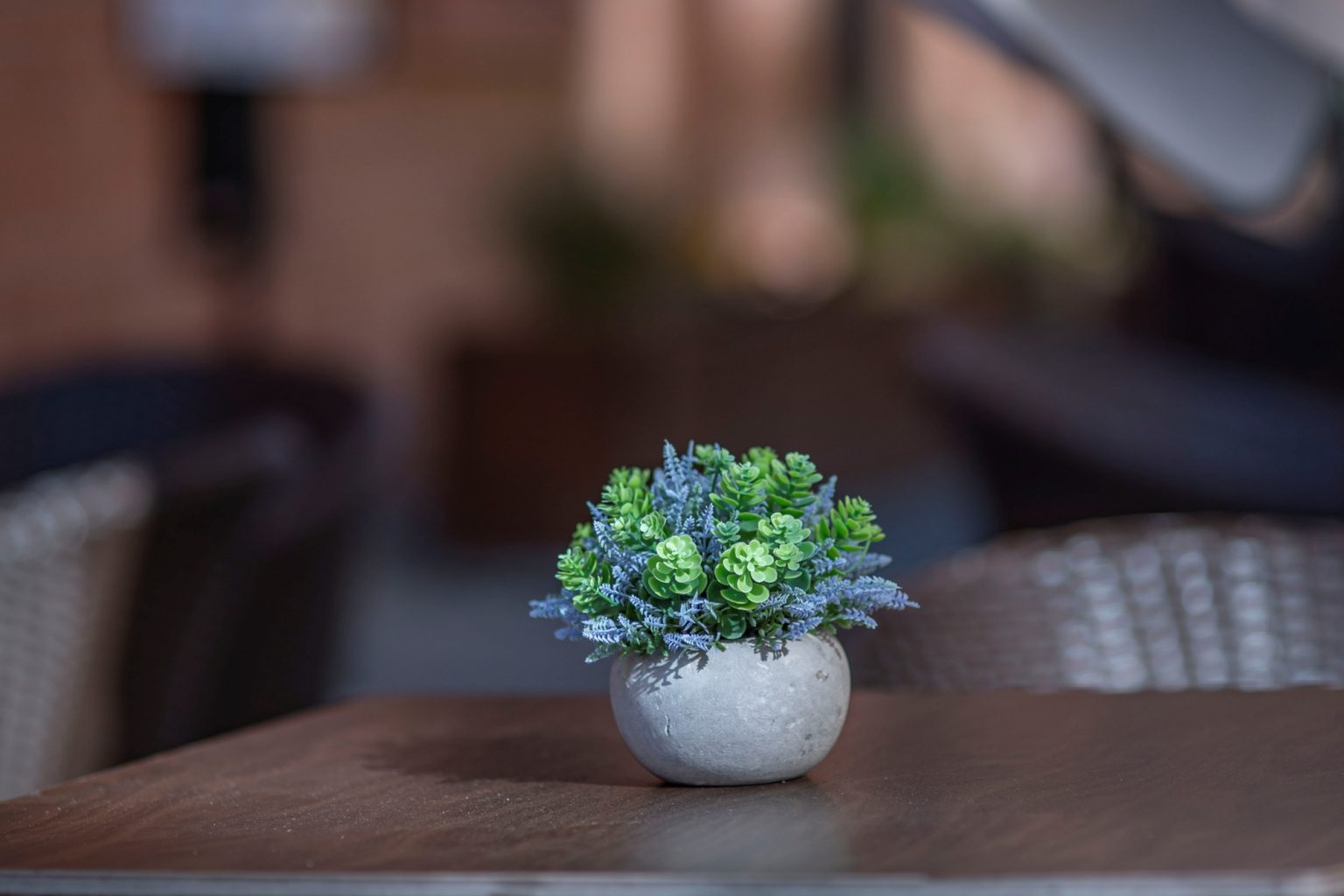 Batch Minolta AF 100mm F2 Nikon Zf Dsc9934 Batch minolta af 100mm f2 nikon zf dsc9934