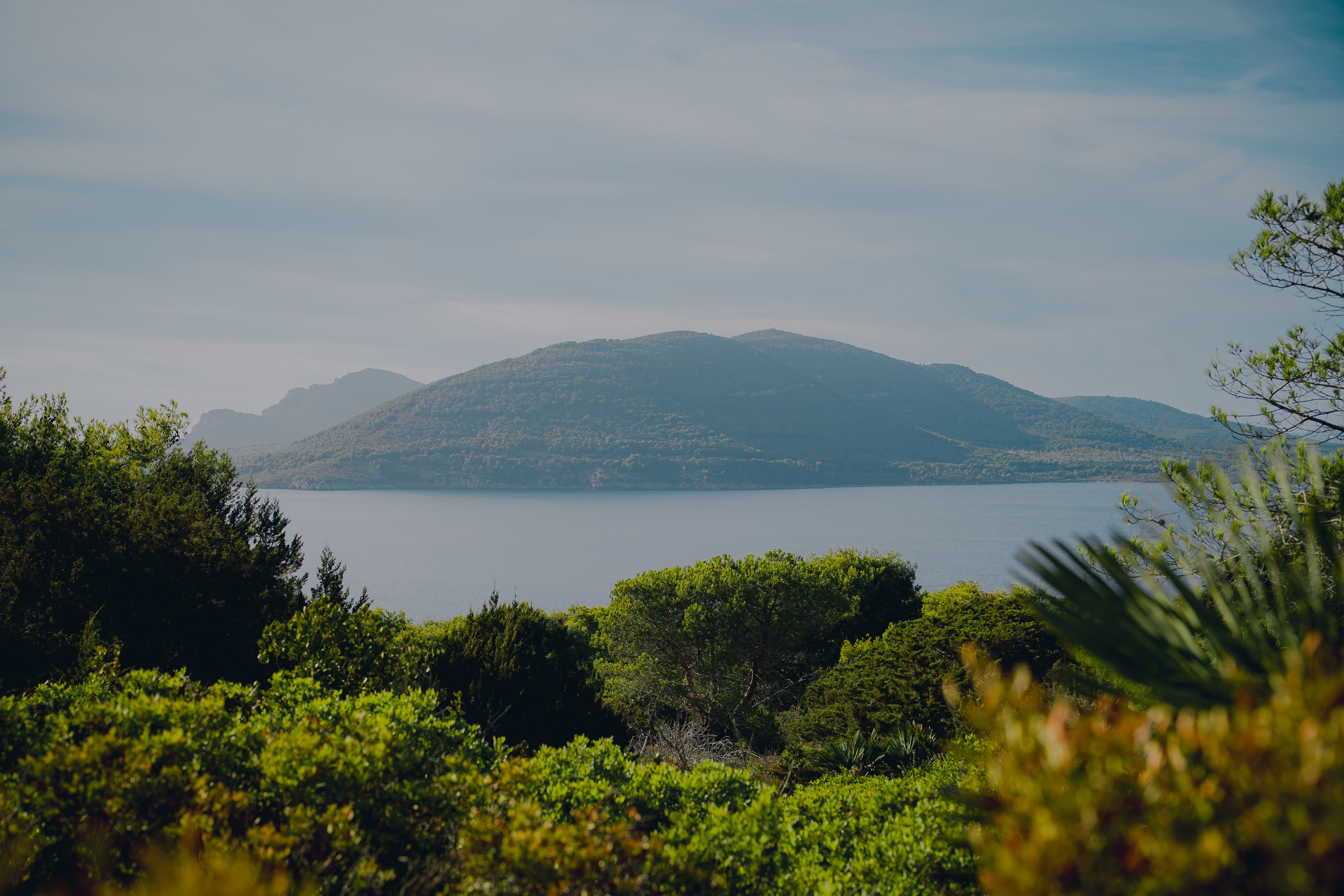 viltrox-50mm-f1-4-pro
