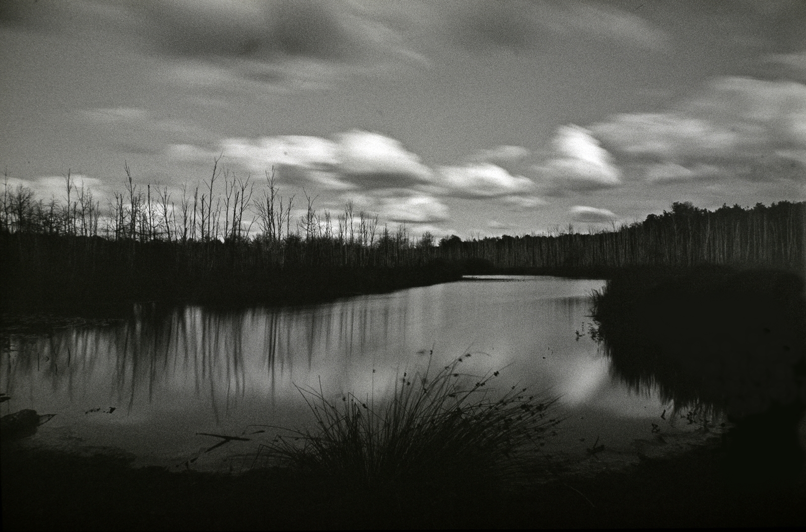 fotografia-analogowa-2026-powrot-trendu 3