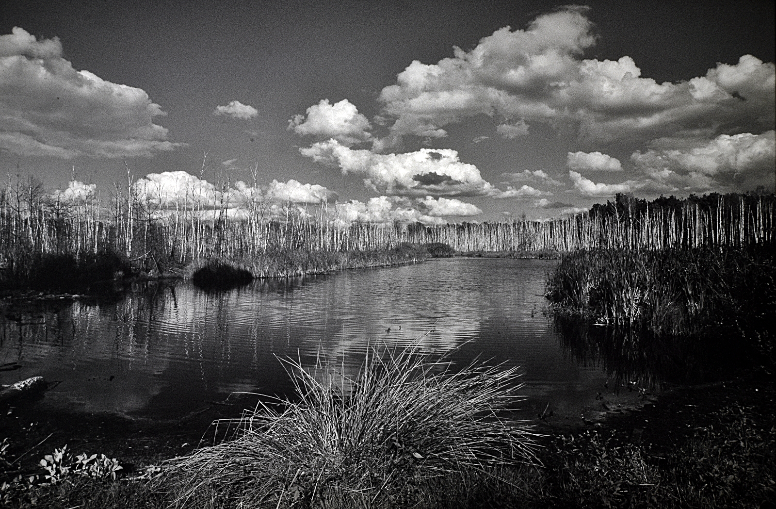 fotografia-analogowa-2026-powrot-trendu 8