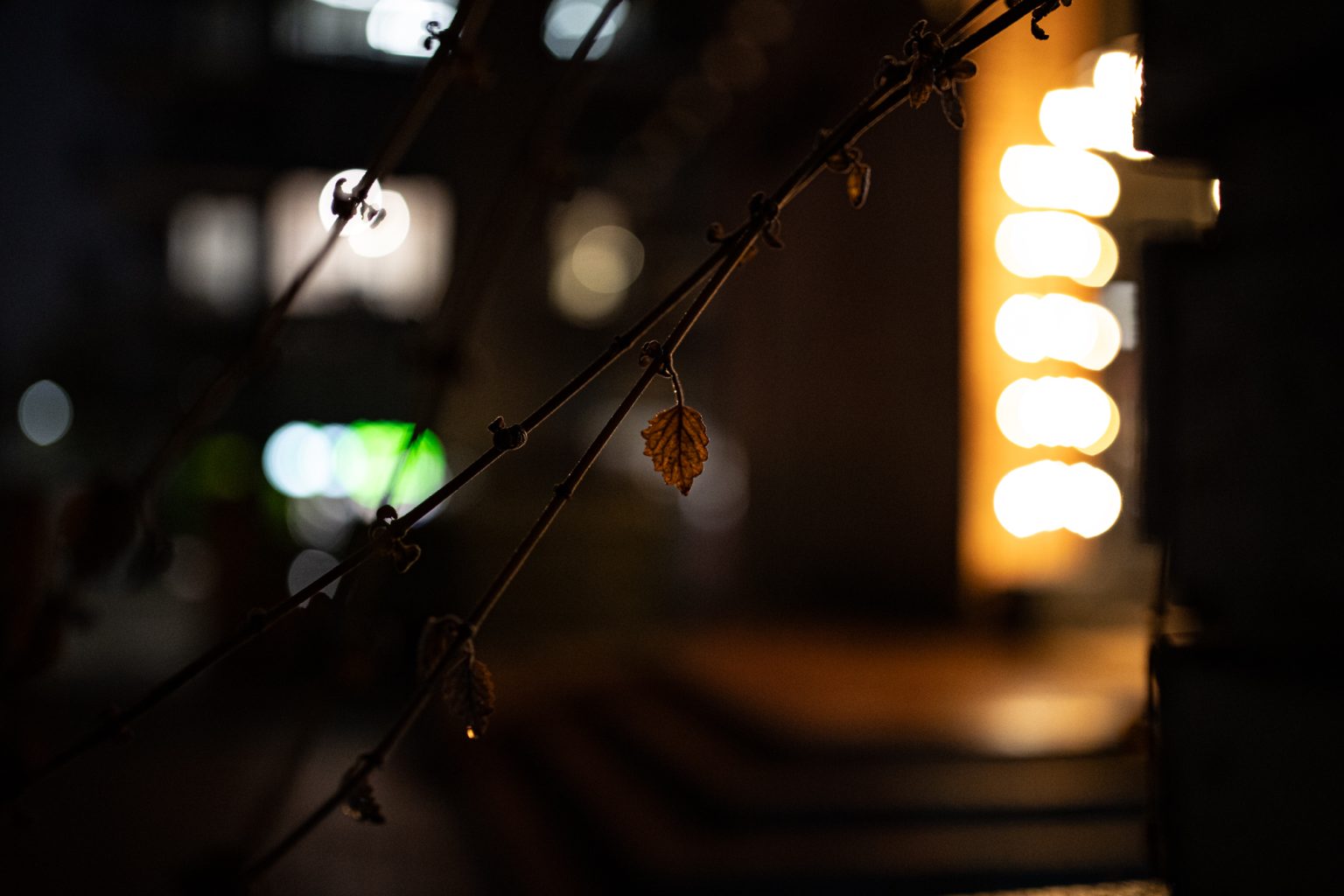 Canon 1DX III Sigma A 35mm F1.4 DG Canon EF