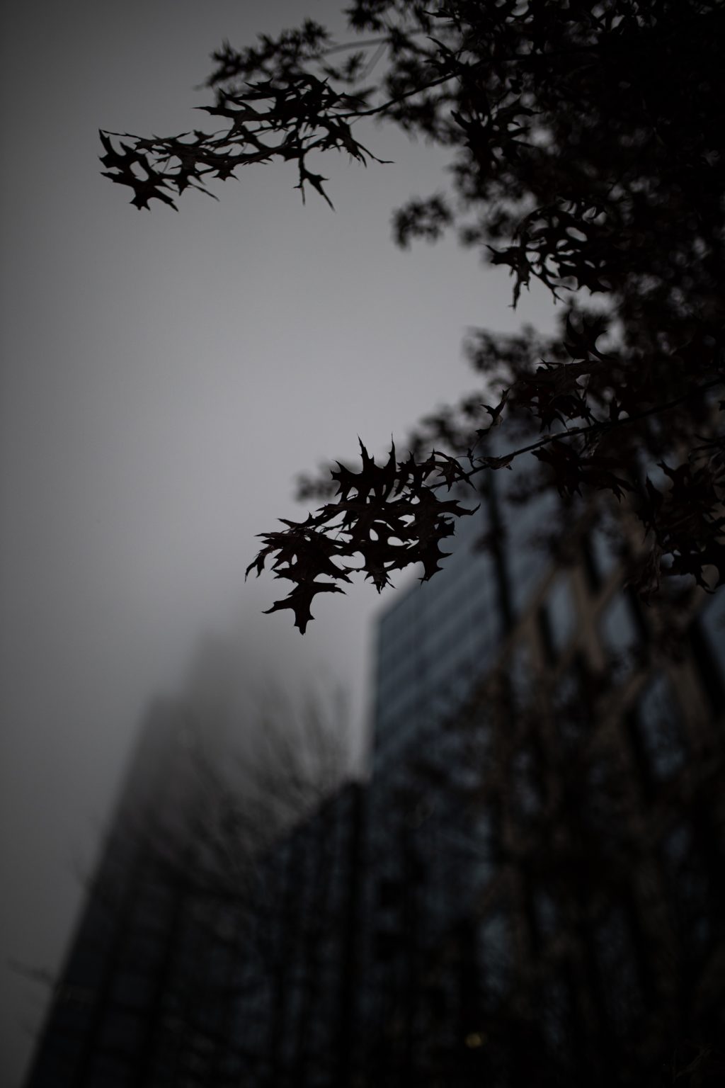 Canon 1DX III Sigma A 35mm F1.4 DG Canon EF