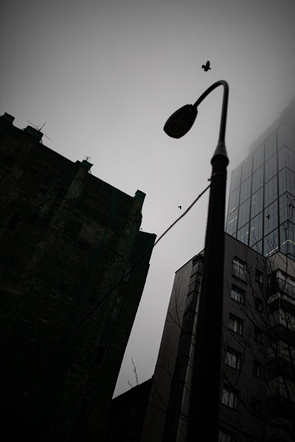 Canon 1DX III Sigma A 35mm F1.4 DG Canon EF