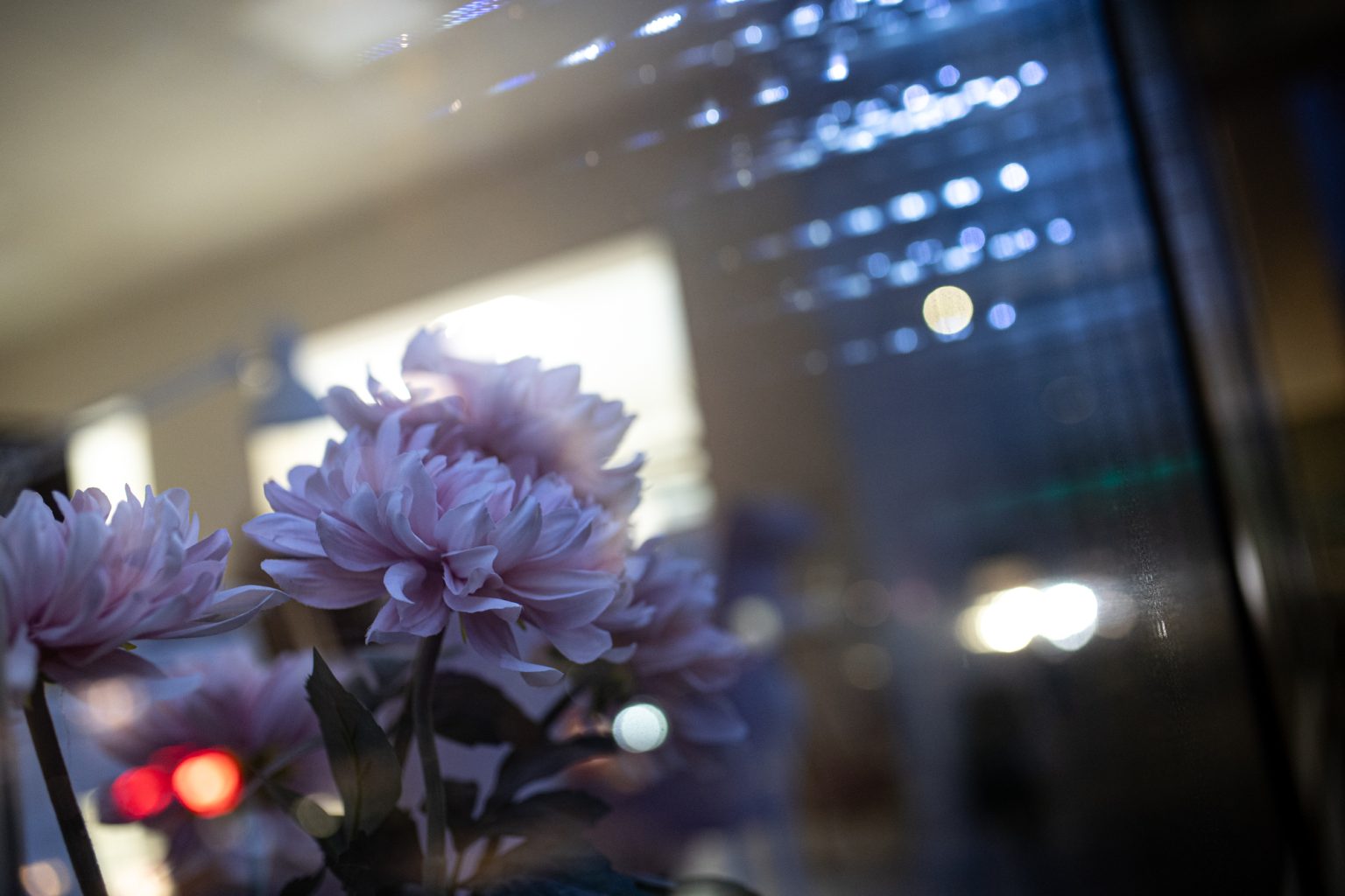 Canon 1DX III Sigma A 35mm F1.4 DG Canon EF