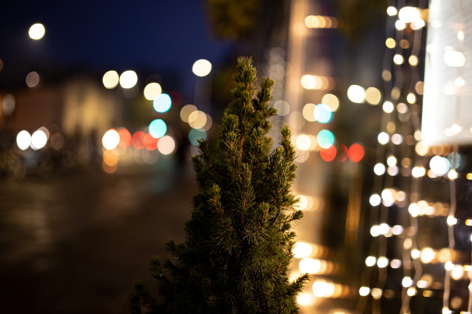 Canon 1DX III Sigma A 35mm F1.4 DG Canon EF