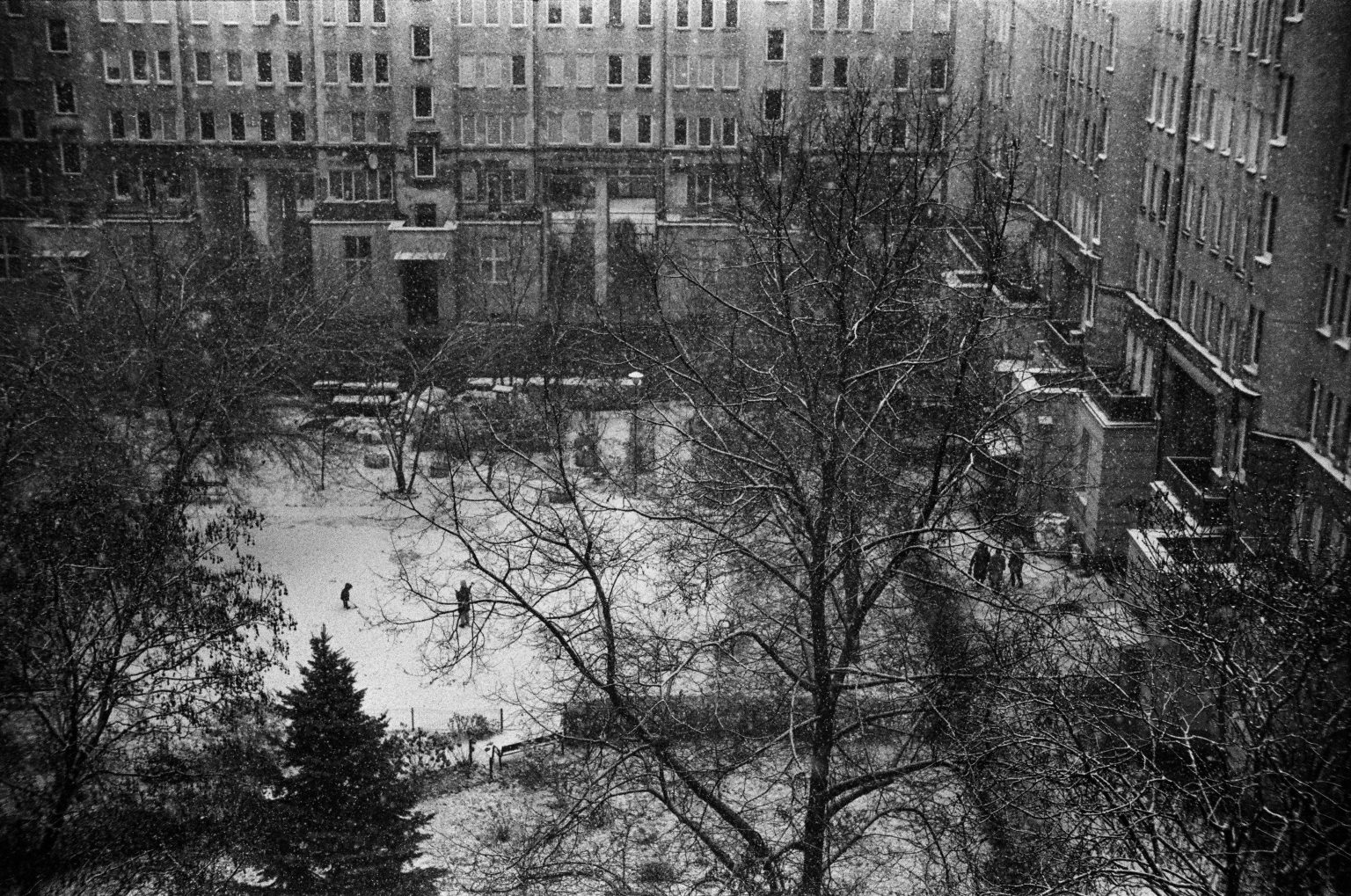 Galeria zdjęć przykładowych wykonana aparatem Leica M5, obiektywem TTArtisan 50mm F0.95 Leica M na filmie Ilford HP5