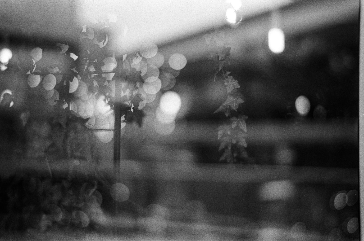 Galeria zdjęć przykładowych wykonana aparatem Leica M5, obiektywem TTArtisan 50mm F0.95 Leica M na filmie Ilford HP5