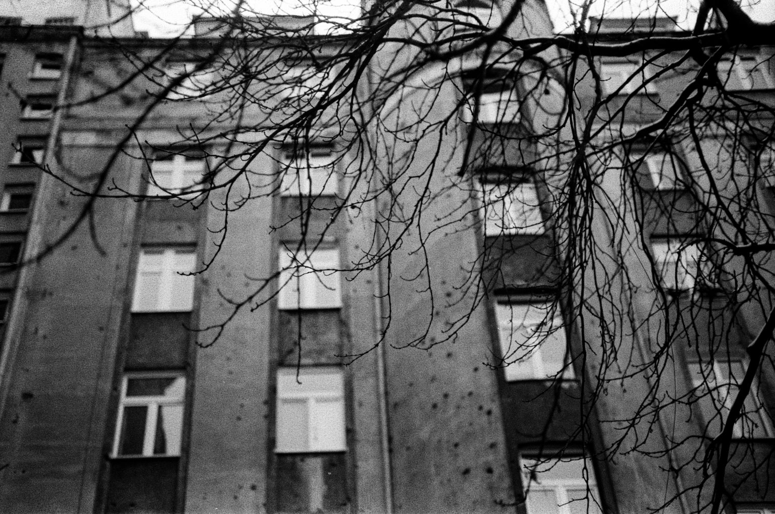 Galeria zdjęć przykładowych wykonana aparatem Leica M5, obiektywem TTArtisan 50mm F0.95 Leica M na filmie Ilford HP5