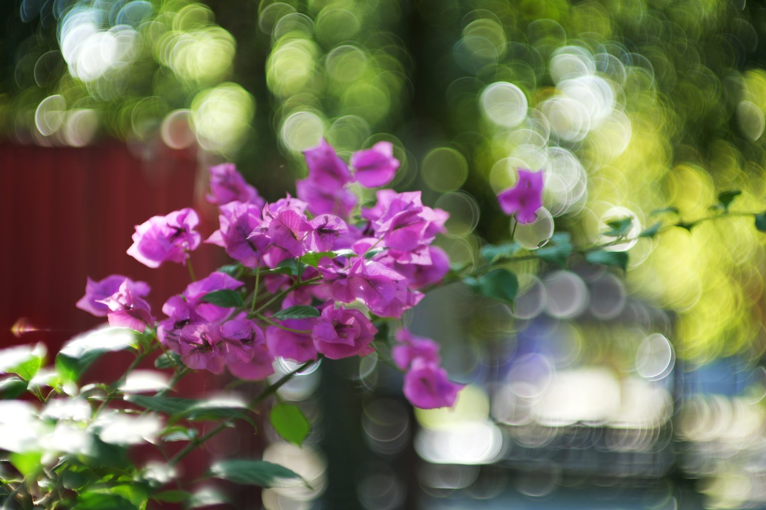 TTArtisan 85mm T2.1 Cine Soft-Bubble