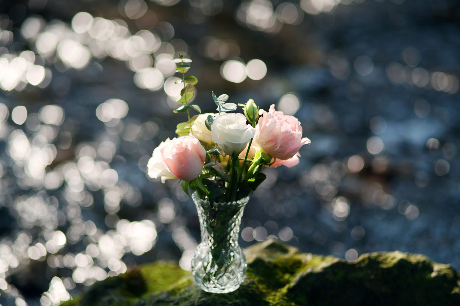 TTArtisan 85mm T2.1 Cine Soft-Bubble