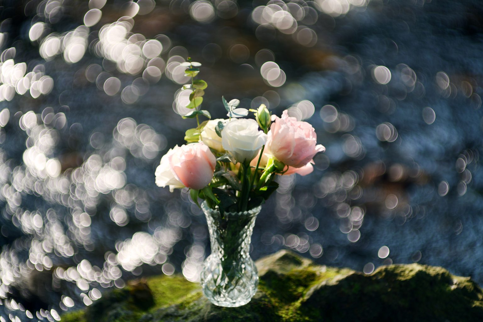 TTArtisan 85mm T2.1 Cine Soft-Bubble