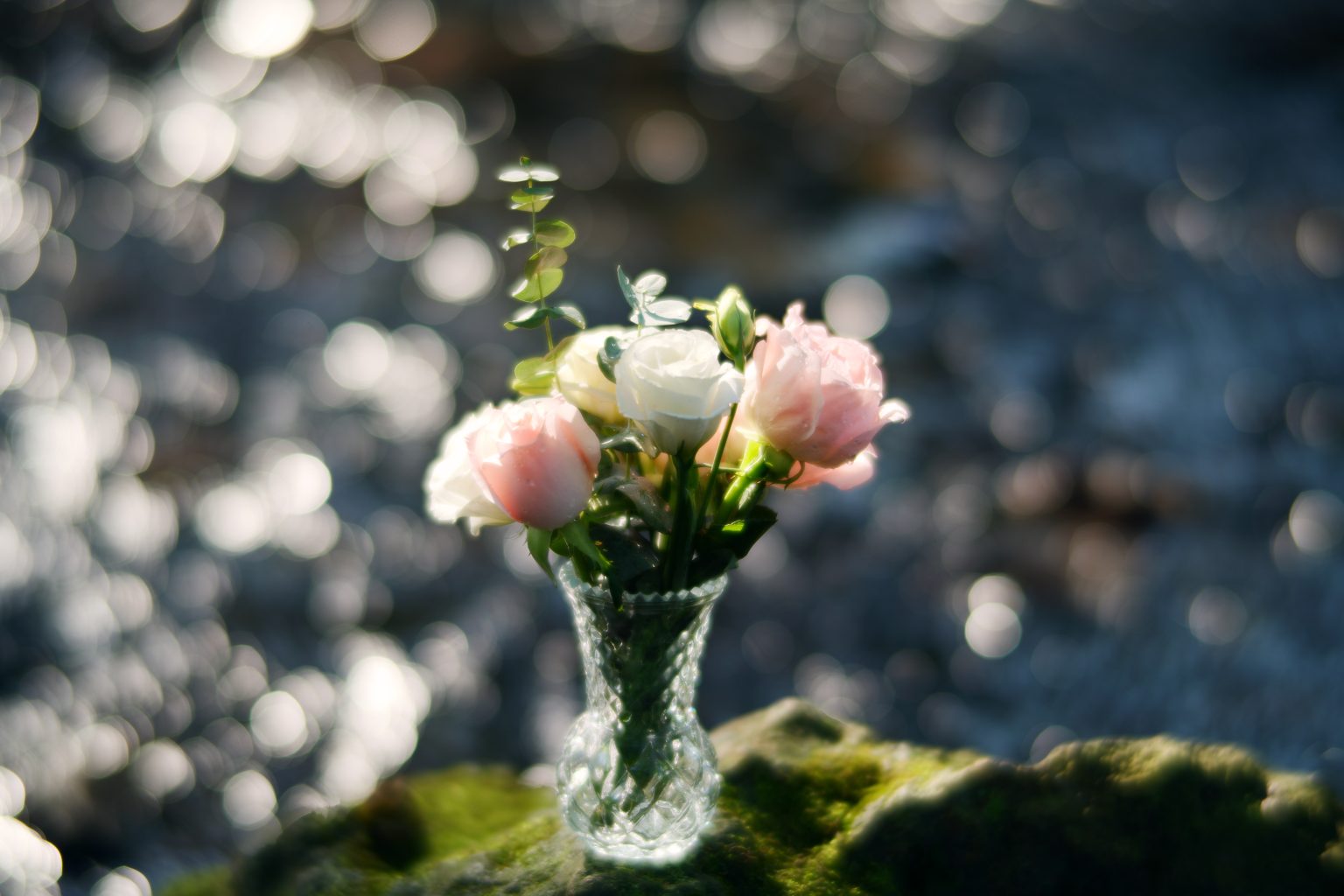 TTArtisan 85mm T2.1 Cine Soft-Bubble