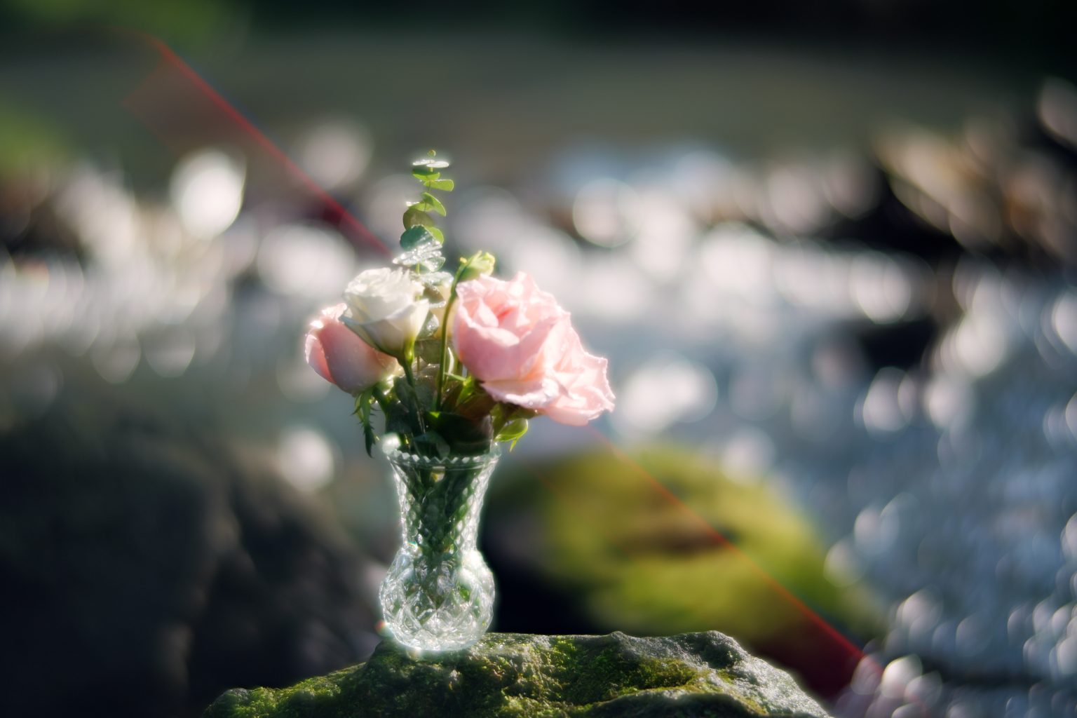 TTArtisan 85mm T2.1 Cine Soft-Bubble