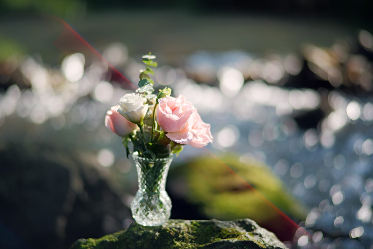 TTArtisan 85mm T2.1 Cine Soft-Bubble